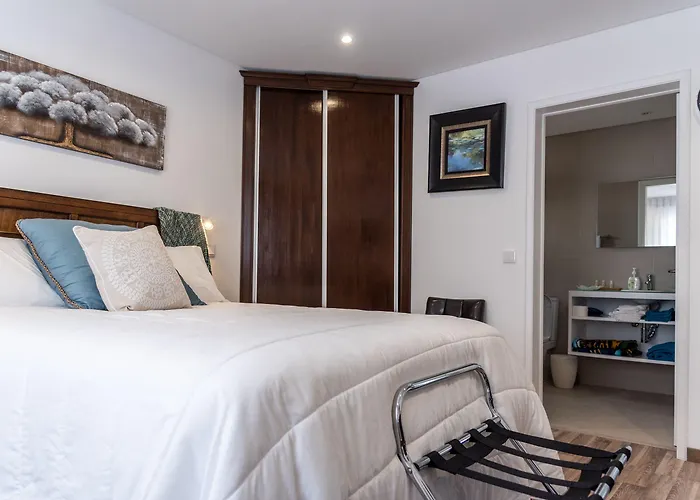 Garoupas Ponta Delgada