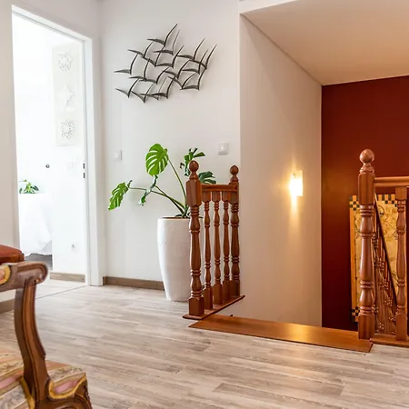 Garoupas Ponta Delgada