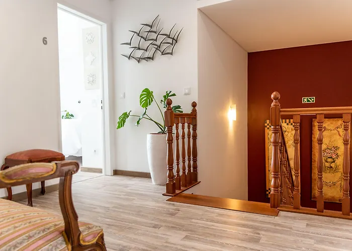 Garoupas Ponta Delgada